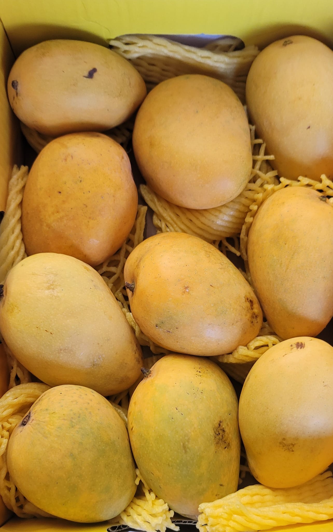Banganapalli (~4 kg)